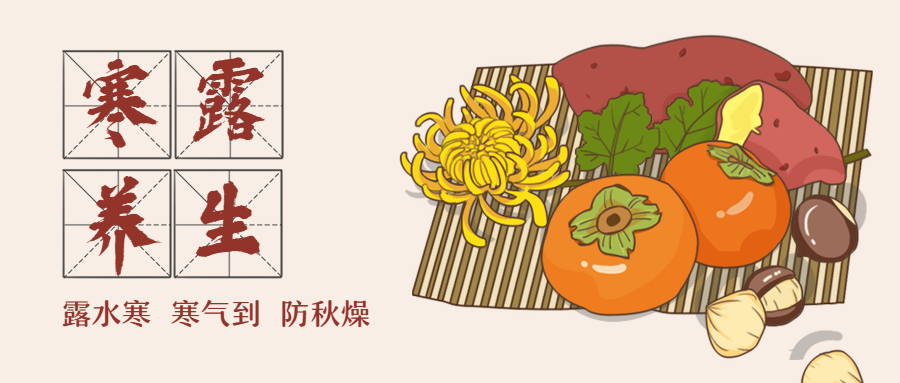 寒露养生节日节气手绘卡通公众号首图