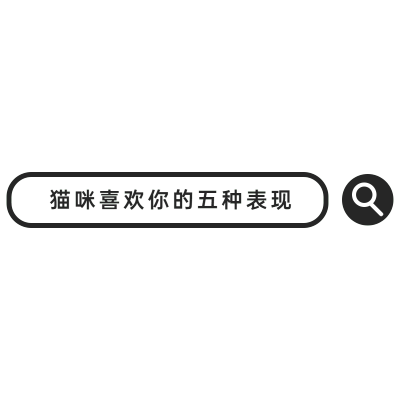 气泡文字-猫喜欢你的五种表现
