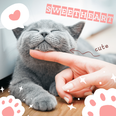 Cute Cat Kitten Mark Template