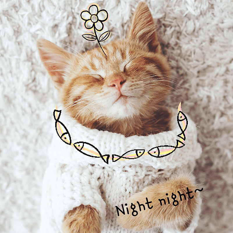 Cute Pet Mark Template