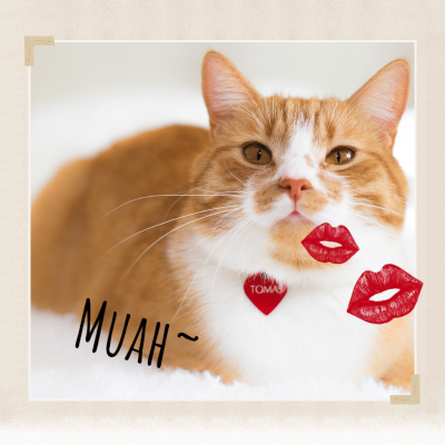 Cute Pet Mark Template