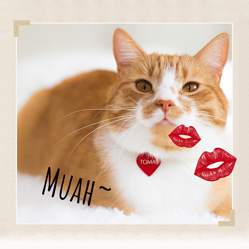 Cute Pet Mark Template