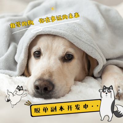 可爱七夕萌宠狗狗晒照海报