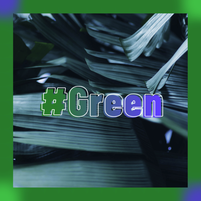 高级质感晒图晒照PLOG预览效果