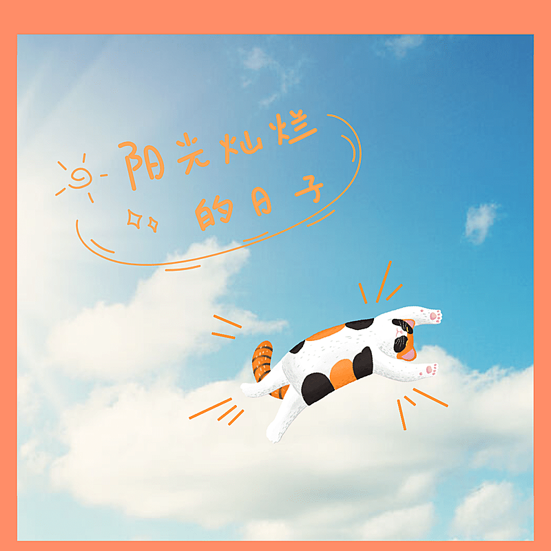 纯色边框手绘猫咪文字晒照plog