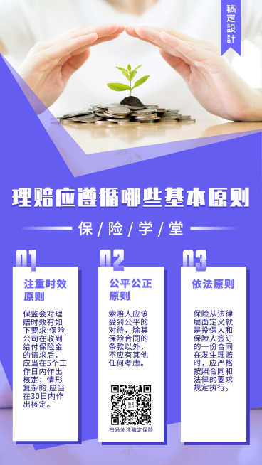 金融保险保险理念理赔原则科普手机海报预览效果