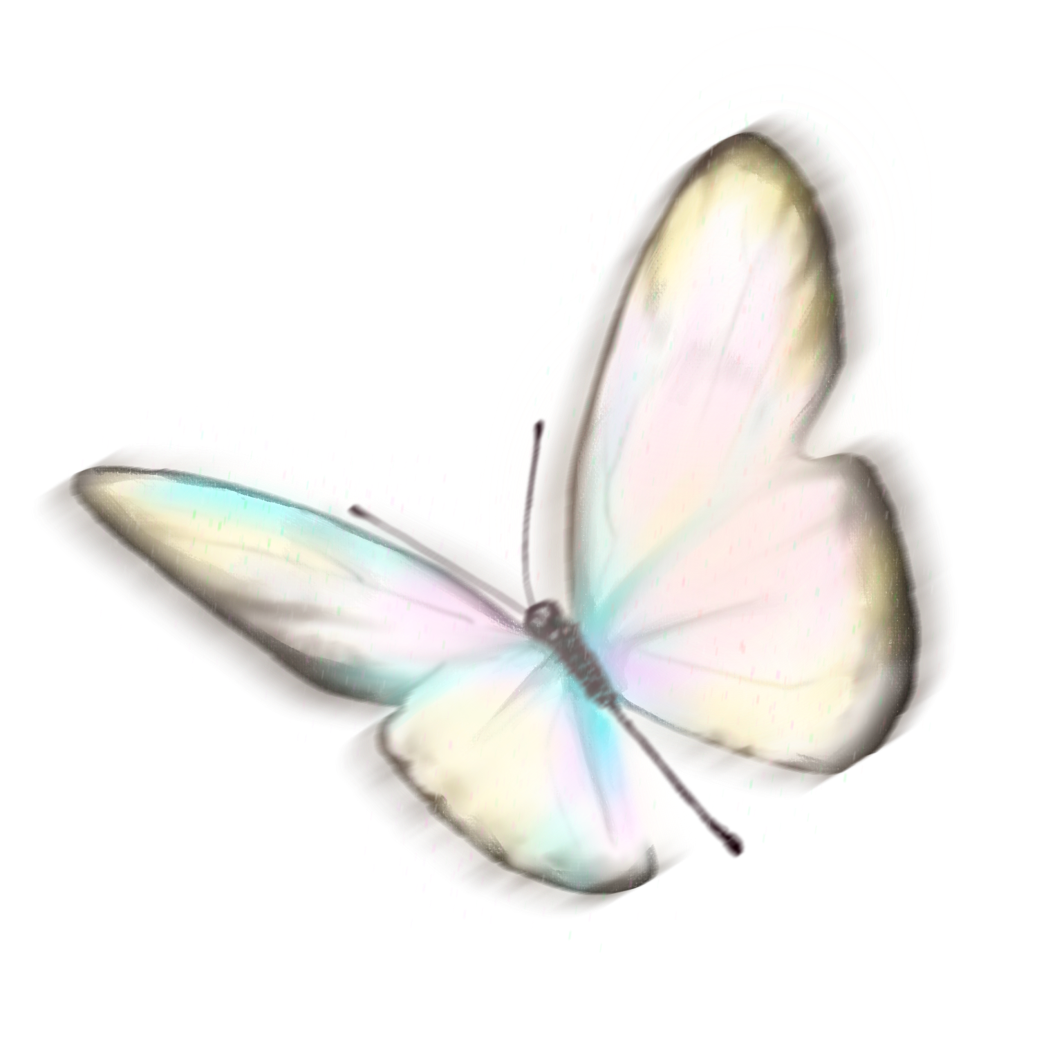 Butterfly Sticker