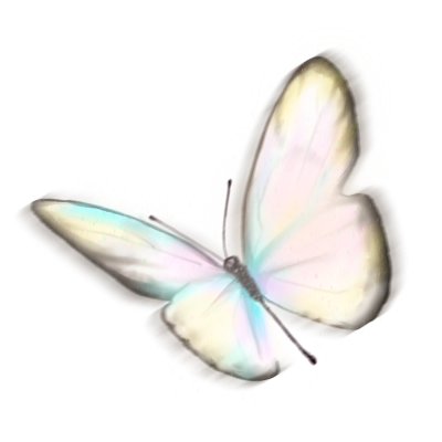 Butterfly Sticker