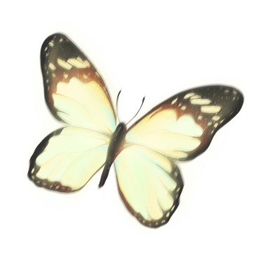 Butterfly Sticker