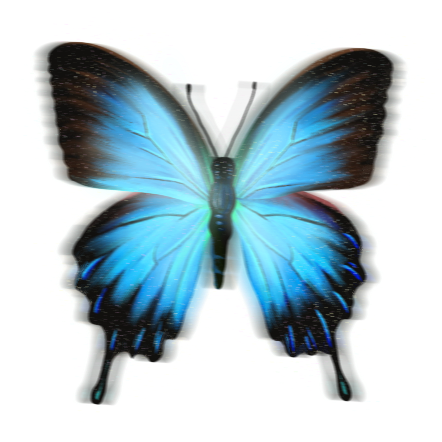 Butterfly Sticker