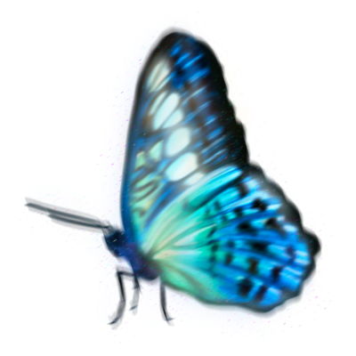 Butterfly Sticker