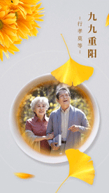 重阳节祝福晒照通用茶杯竖版视频