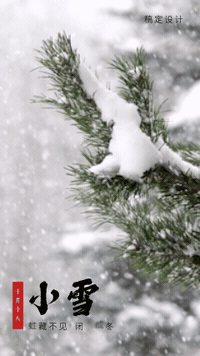 小雪节气祝福实景唯美竖版视频