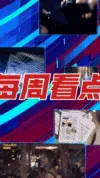 ip角色