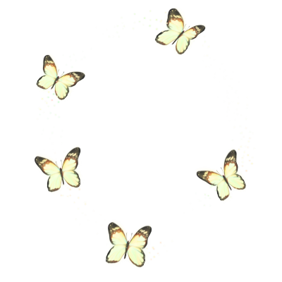 Butterfly Sticker