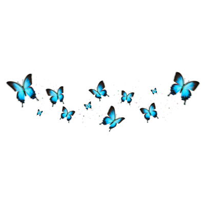 Butterfly Sticker