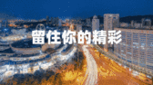 模板缩略图
