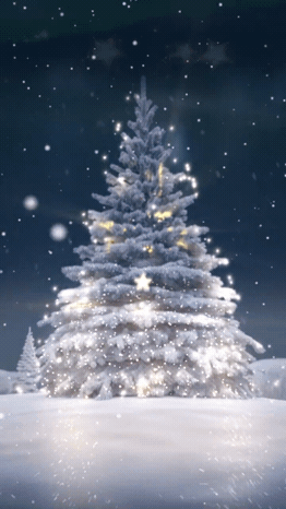 圣诞文体娱乐祝福圣诞树竖版视频