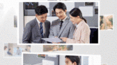 模板缩略图