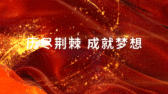 模板缩略图
