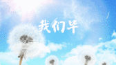模板缩略图