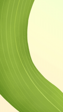端午节教育培训行业课程营销促销视频