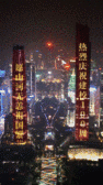 模板缩略图