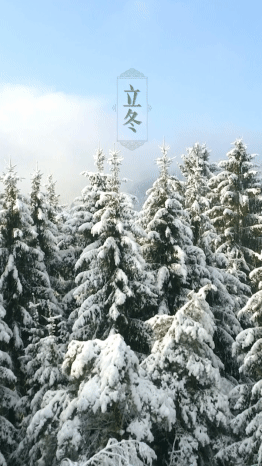 立冬节气问候实景竖版视频