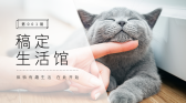 模板缩略图