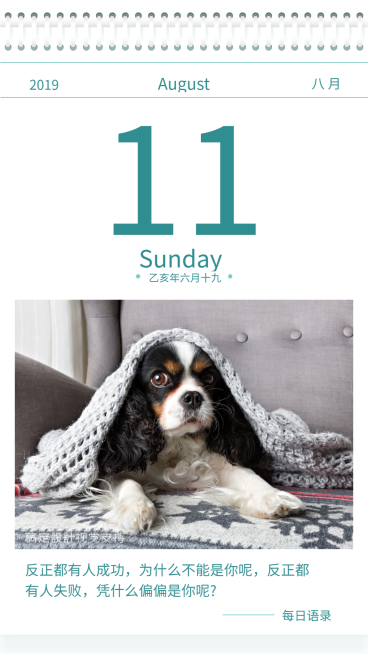 日签海报 每日问候宣传海报预览效果