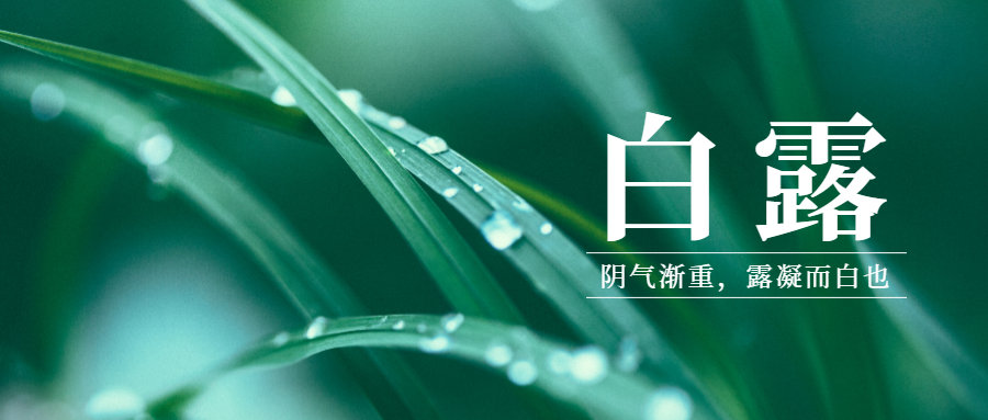 白露二十四节气实景公众号首图预览效果