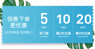 蓝色/清新风优惠券