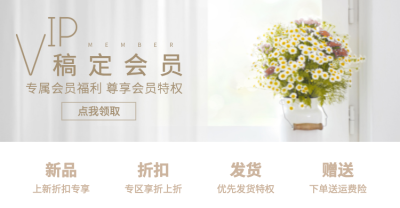 VIP会员卡海报