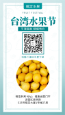 模板缩略图