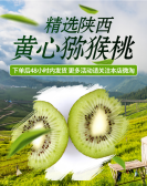 模板缩略图