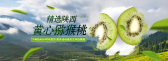 模板缩略图