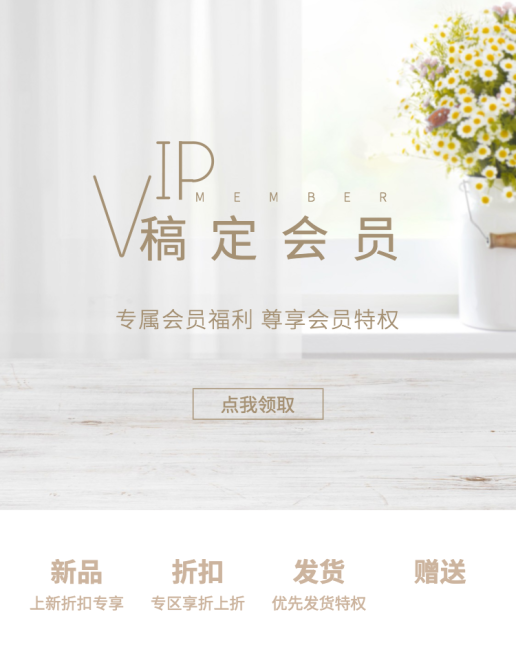 VIP会员卡海报预览效果