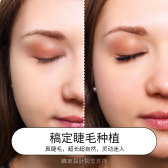 模板缩略图