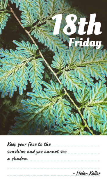 Literary Plants Daily Signature Quotes Instagram Story预览效果