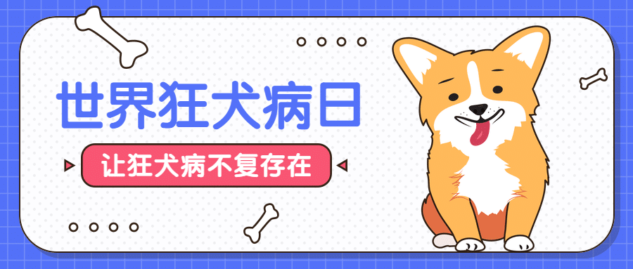 世界狂犬病日/萌宠公众号首图 预览效果