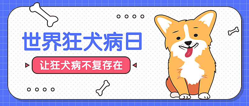 世界狂犬病日/萌宠公众号首图 