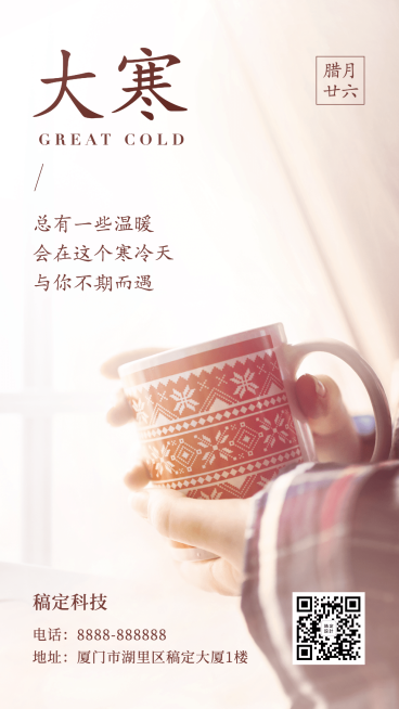 二十四节气大寒文艺清新简约实景手机海报预览效果