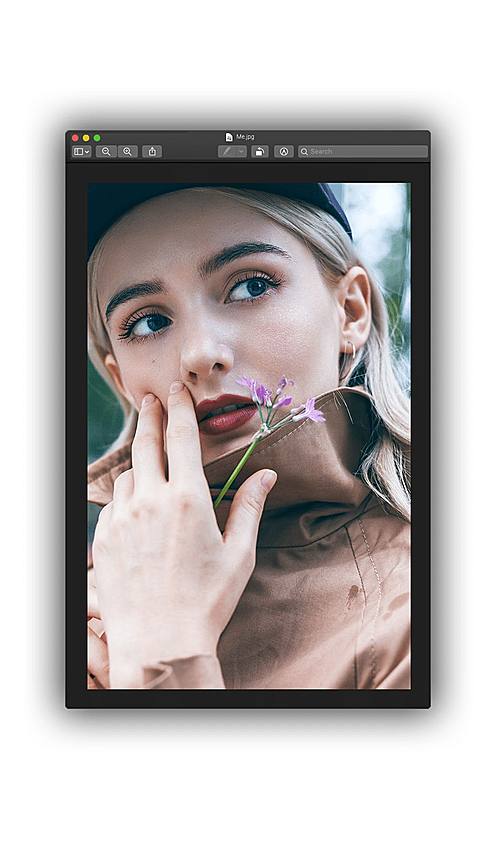 Interface Simulation Flower Woman Moment Record Instagram Story