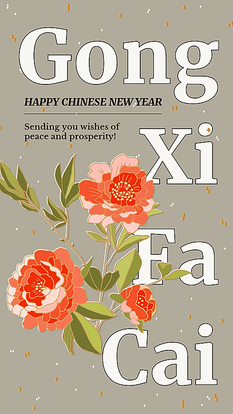 Happy Spring Festival Flowers Decoration Simple Fashion Style Instagram Story