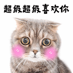 情人节表白可爱萌宠动态表情包预览效果