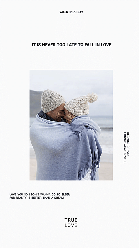 Valentine's Day Couple Photo Show Romantic Art Simple Fashion Style Poster Instagram Story