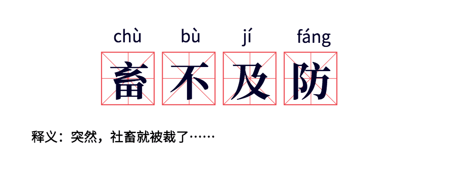 职业社畜吐槽公众号首图预览效果