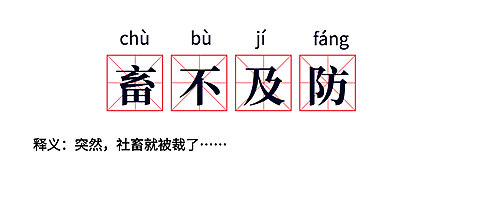 职业社畜吐槽公众号首图