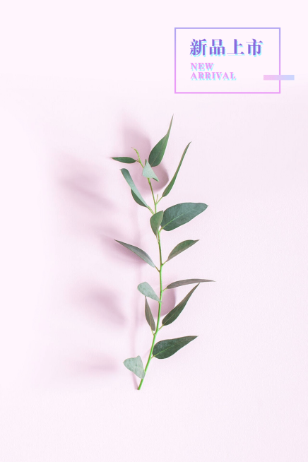 简约花卉轻设计竖版文章配图预览效果