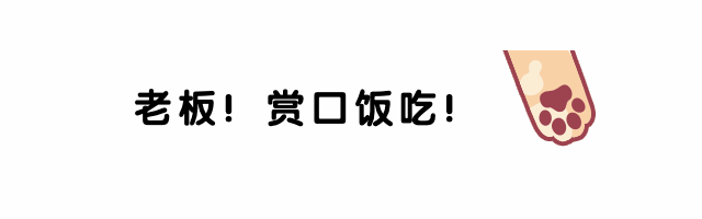 猫爪可爱趣味动态在看提示再看预览效果